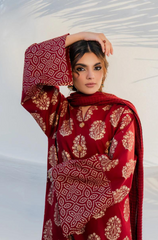 Sapphire - Winter 3PC Linen Embroidered Suit - BFU0052