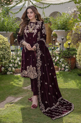 Boraque - Winter 3PC Velvet Embroidered Suit - BFB0169