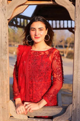 3PC Organza Embroidered Suit - BFB0105