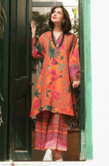 Winter Stitched 2Pcs Printed Khaddar Suit – RTW013 - | BlueFery