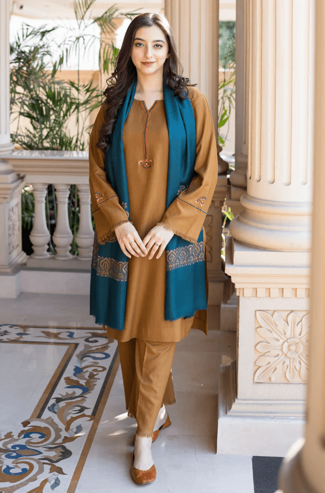 Winter Stitched 3Pcs Embroidered Dhanak Suit – RTW021 - | BlueFery