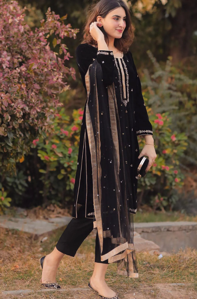 Boraque - 3PC Velvet Embroidered Shirt With Silk Printed Dupatta and Trouser - BFB0401