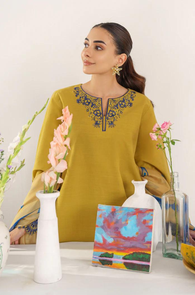 Kiara by Hana - 3PC Dhanak Embroidered Suit - BFU0064