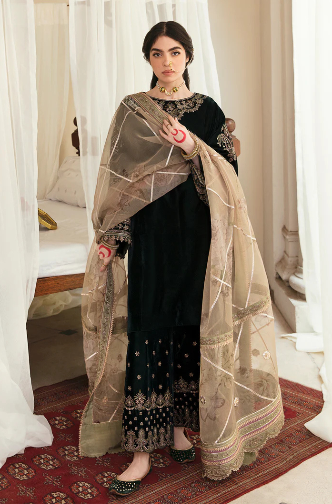 Boraque -Winter 3PC Velvet Embroidered Suit - BFB0400