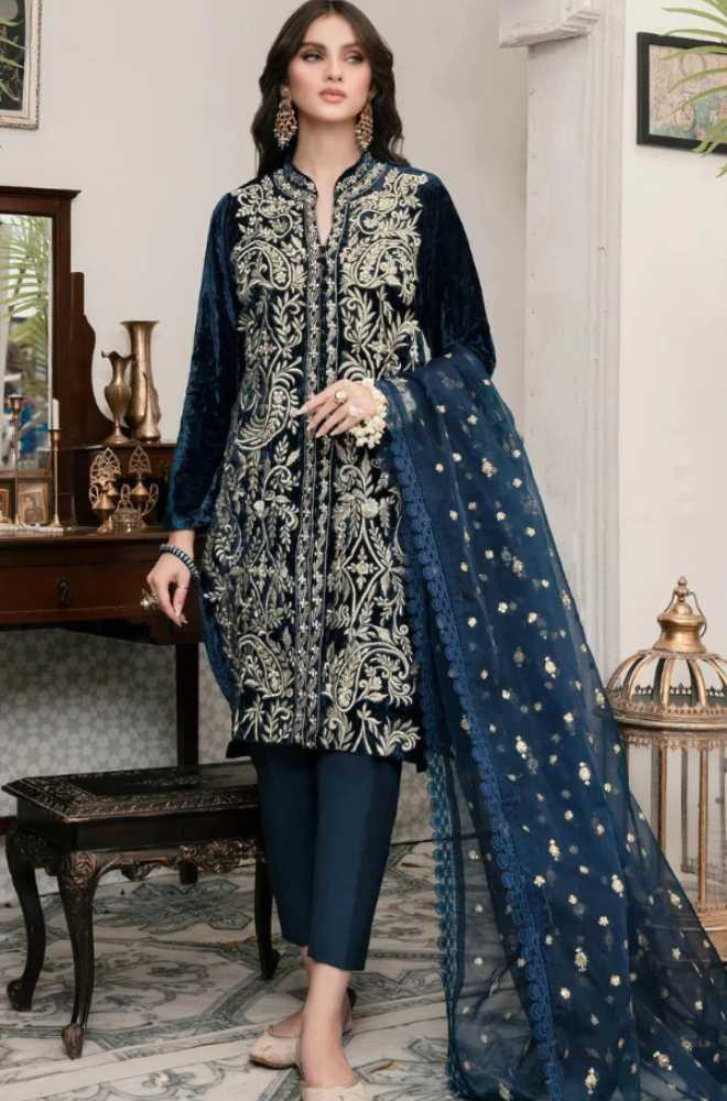 Azure - 3PC Velvet Embroidered Shirt With Organza Embroidered Dupatta - BFFC200