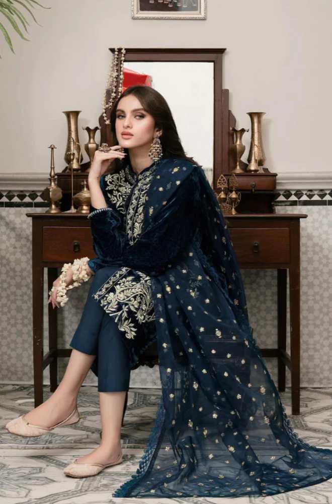 Azure - 3PC Velvet Embroidered Shirt With Organza Embroidered Dupatta - BFFC200