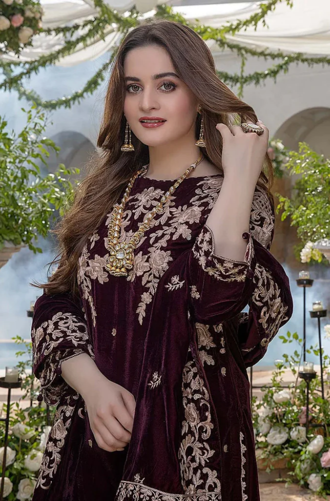 Winter 3PC Velvet Embroidered Suit - BFB0169
