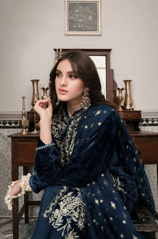 Azure - 3PC Velvet Embroidered Shirt With Organza Embroidered Dupatta - BFFC200