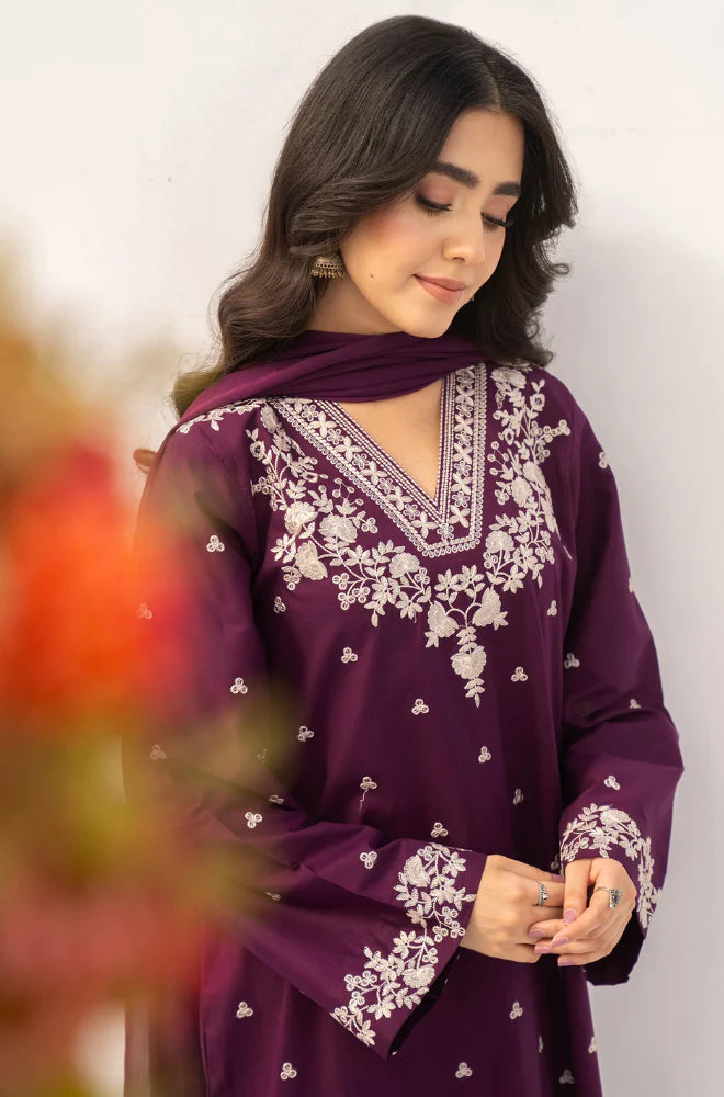 Rozana - Stitched 3Pcs Embroidered Dhanak Suit – RTW004