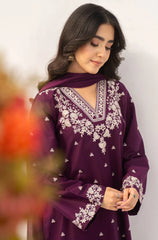 Rozana - Stitched 3Pcs Embroidered Dhanak Suit – RTW004