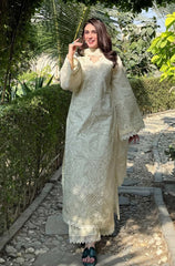 Stitched 3Pcs Embroidered Lawn Suit – RTW031