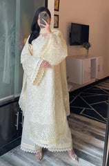 Stitched 3Pcs Embroidered Lawn Suit – RTW031