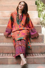 Winter Stitched 2Pcs Printed Khaddar Suit – RTW013 - | BlueFery