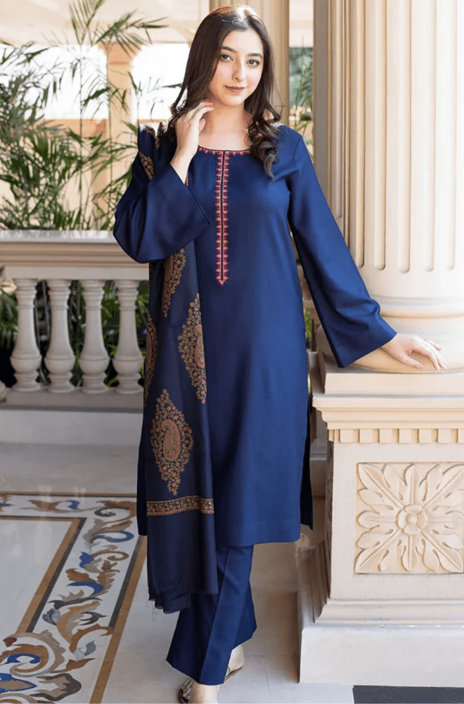 Winter Stitched 3Pcs Embroidered Dhanak Suit – RTW020 - | BlueFery