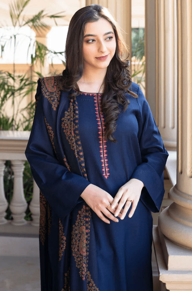 Winter Stitched 3Pcs Embroidered Dhanak Suit – RTW020 - | BlueFery