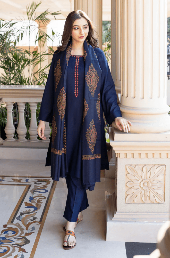 Winter Stitched 3Pcs Embroidered Dhanak Suit – RTW020 - | BlueFery