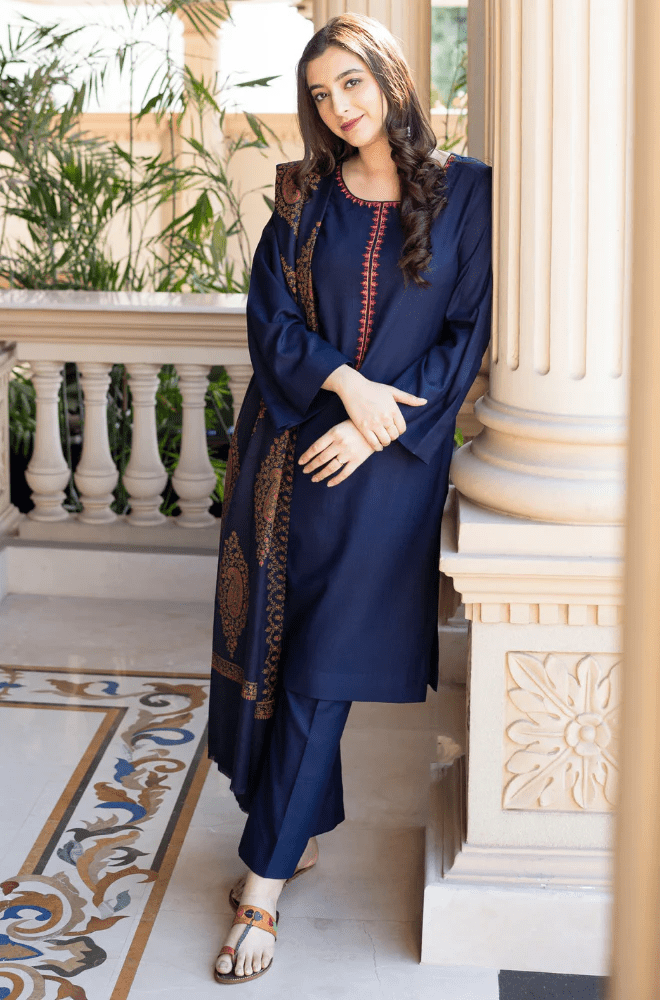 Winter Stitched 3Pcs Embroidered Dhanak Suit – RTW020 - | BlueFery