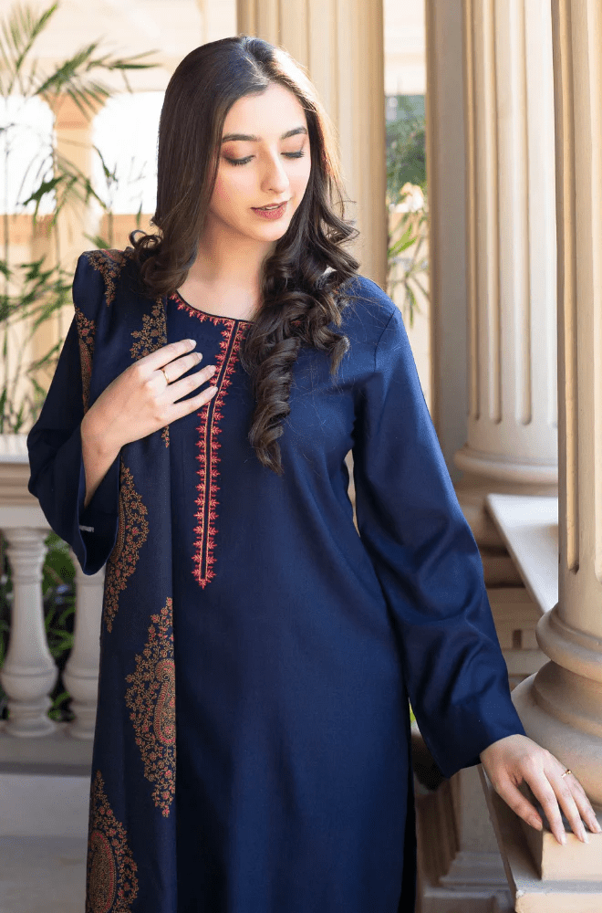 Winter Stitched 3Pcs Embroidered Dhanak Suit – RTW020 - | BlueFery