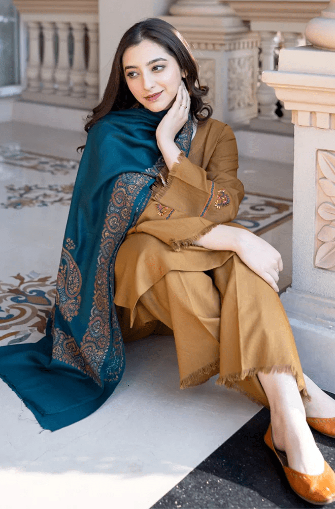 Winter Stitched 3Pcs Embroidered Dhanak Suit – RTW021 - | BlueFery