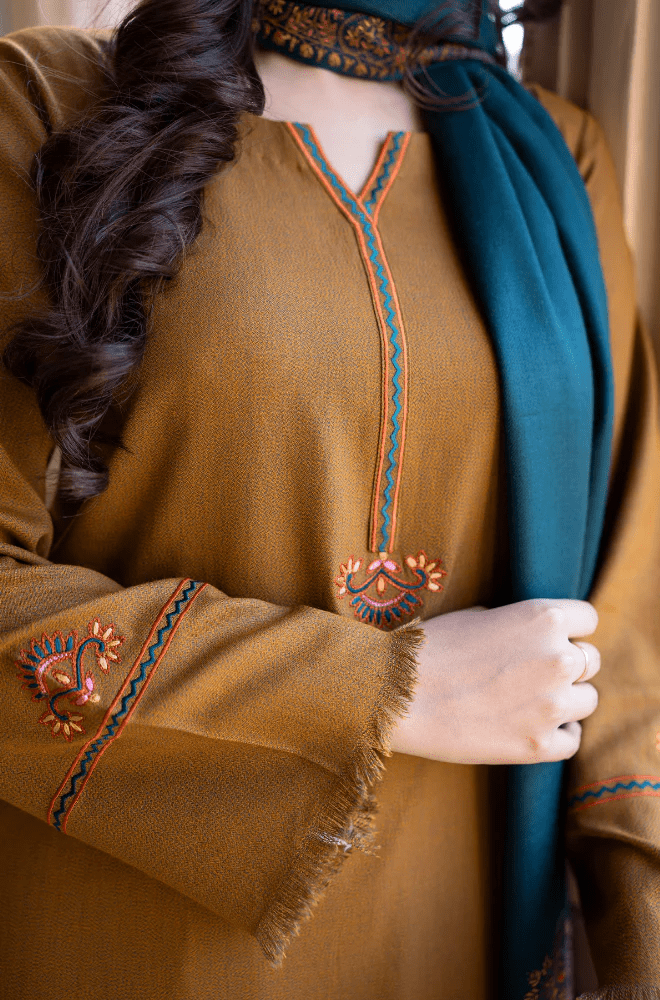 Winter Stitched 3Pcs Embroidered Dhanak Suit – RTW021 - | BlueFery