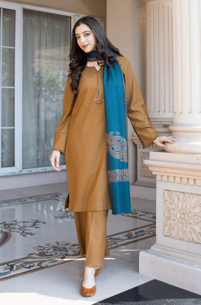 Winter Stitched 3Pcs Embroidered Dhanak Suit – RTW021 - | BlueFery