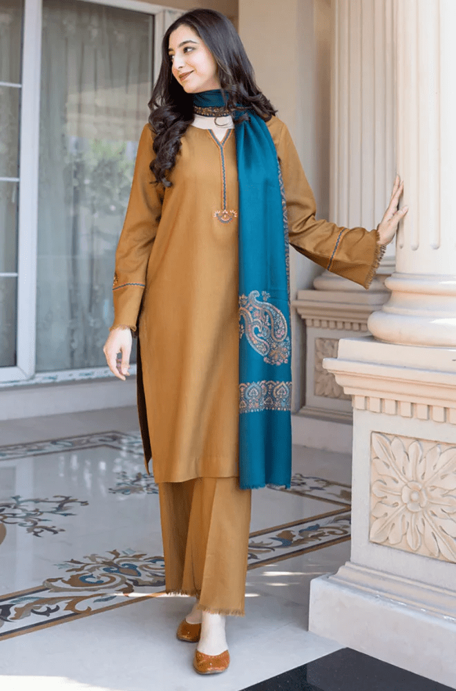 Winter Stitched 3Pcs Embroidered Dhanak Suit – RTW021 - | BlueFery