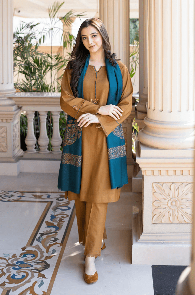 Winter Stitched 3Pcs Embroidered Dhanak Suit – RTW021 - | BlueFery